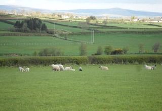 Valley View Country House Bed And Breakfast Bushmills Bagian luar foto